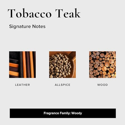Broken Top Geotanical Car Air Freshener Variety Pack, 6 Pack, 2 Scents | Includes Black Coral Tide and Tobacco Teak hanging fresheners, 3 each