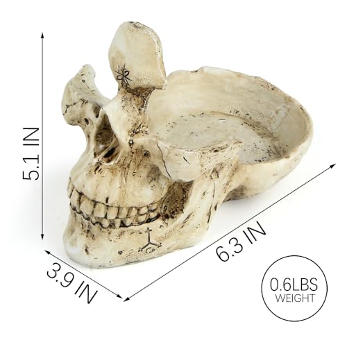 Skull Glasses Stand Holder, Creative Eyeglasses Ho... (White | Resin)