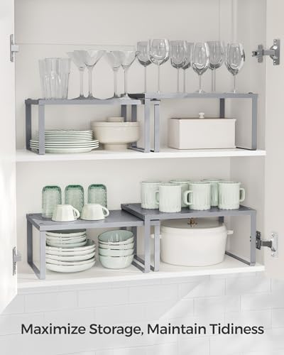 Spice Racks, Set of 2 Metal Cabinet Shelf Organize... (Silver | Metal)