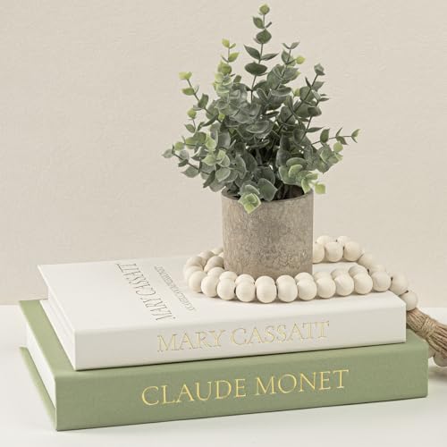 Premium Linen Faux Book Box Set of 2: Aesthetic Bo... (2 Count | Beige-Green)