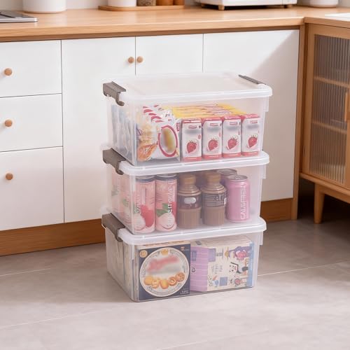 Citylife 17 QT Clear Storage Bins with Lids 1 Pack Plastic Storage Bins Latching Stackable Containers for Organizing Large Storage Box for Garage Workshop, Toys Coloring Books, Closets Bedrooms