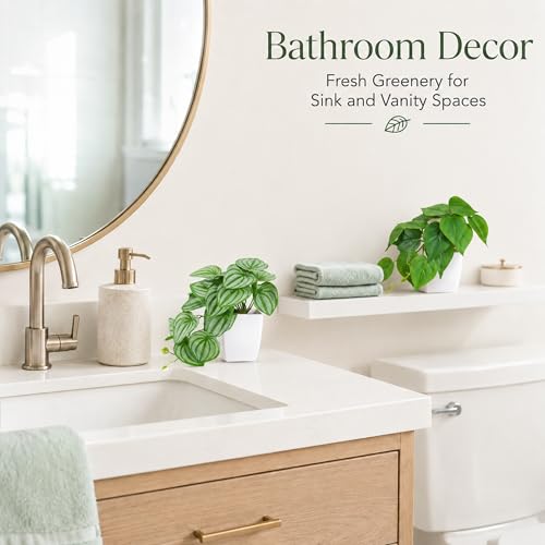 Der Rose 6Pcs Small Fake Plants Set for Bathroom Shelf Office Desk Decor | Artificial plants indoor, trailing and upright greenery build layered texture for modern bedroom decoration