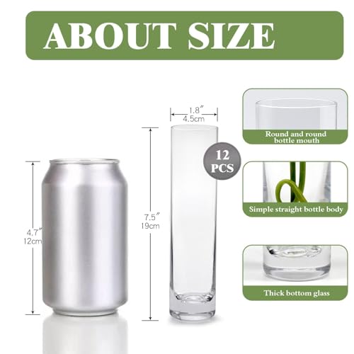 Glass Cylinder Bud Vases for Centerpieces, Set of 12 Clear Small vases,Handmade Slim Flower Vases Wedding Table Decor for Single Rose vases Bulk, Home Aesthetic Desk Decor, Party Decorations,7.5"