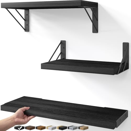 Wall Mounted Floating Bathroom Shelves, Wood Float... (3 Count | Paulownia)