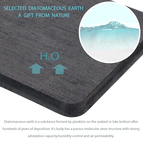 NiuYichee 2 Pcs Water Absorbing Stone Trays, Kitchen/Bathroom Sink Soap Dish, Diatomite Tray Used for Hand Soap & Cosmetic Bottles in The Modern Home, 4" W x 8.3" L, Dark Gray