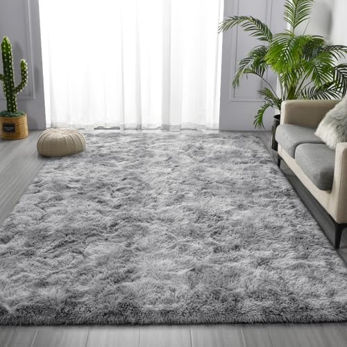 Large Shag Area Rugs 6 x 9, Tie-Dyed Plush Fuzzy R... (Polypropylene)