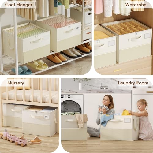 Plus Size 2 Pack Shoe Organizer for Closet, Foldable Shoe Storage Box | 16–24 Pair Shoe Storage for Sneakers, Boots & Heels with Adjustable Dividers, Clear Cover & Space Saving Closet Storage