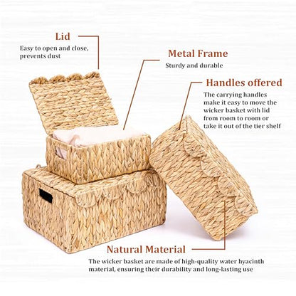 LUSYDECO Set of 3 Scalloped Edge Wicker Basket with Lid, Rectangle Wicker Storage Basket with Built-in Handles, Multipurpose Organizer Rattan Display Boxes for Shelf, Nursery Room