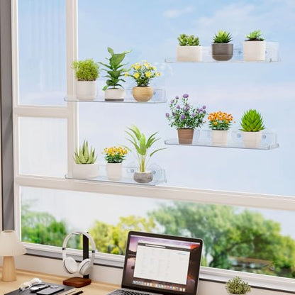 Lifewit Window Plant Shelves 14.6", 2 Pack Acrylic Suction Cup Floating Shelf for Bathroom Mirror, or Kitchen Wall, Clear No-Drill Window Sill Extender for Indoor Micro Greens 37 x 9 cm/14.6x3.6
