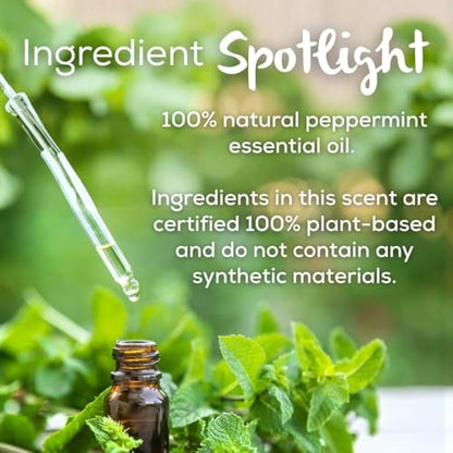 Scent Fill 100% Natural Peppermint Plug in Air Freshener, 4 Scented Oil Refills