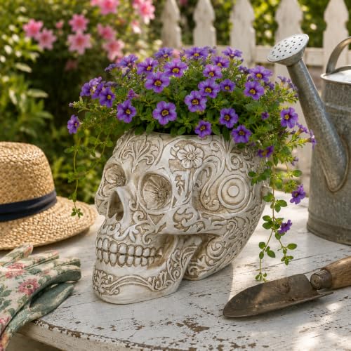 Top Brass Large Sugar Skull Eyeglass Holder & Succulent Planter – Decorative Skull Glasses Stand, Reading Glasses Organizer, Small Flower Pot, Resin Desk Decor, Sunglasses Holder, Home Office Décor