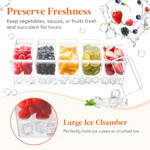 Lifewit Chilled Condiment Caddy with 5 Individual Lids, Ice Garnish Tray