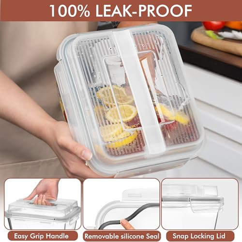 Razab 17 Cups / 132 Oz / 3900ml Large Glass Food Storage Containers with Lids - Leakproof, BPA-Free Large Meal Prep Container Ideal for Roasting Turkey, Store Leftover - Microwave & Oven Safe
