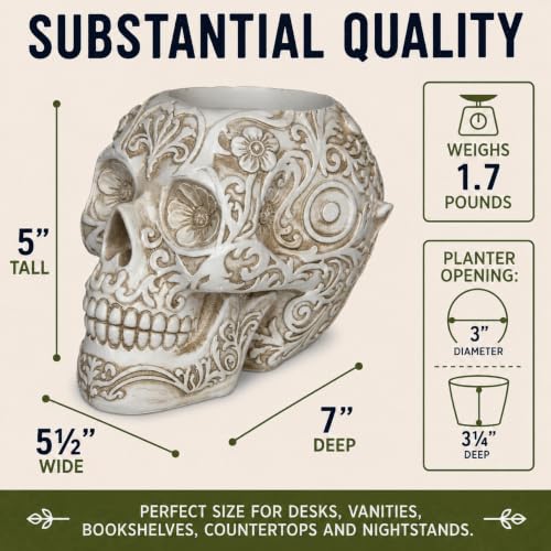 Top Brass Large Sugar Skull Eyeglass Holder & Succulent Planter – Decorative Skull Glasses Stand, Reading Glasses Organizer, Small Flower Pot, Resin Desk Decor, Sunglasses Holder, Home Office Décor