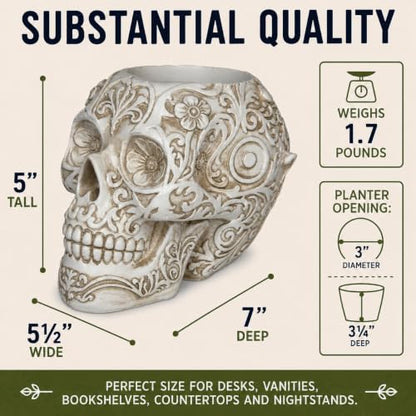 Top Brass Large Sugar Skull Eyeglass Holder & Succulent Planter – Decorative Skull Glasses Stand, Reading Glasses Organizer, Small Flower Pot, Resin Desk Decor, Sunglasses Holder, Home Office Décor
