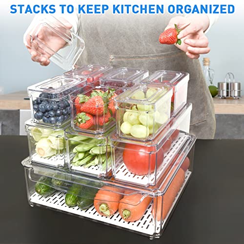 POMEAT 10 Pack Fridge Organizer, Stackable Refrigerator Organizer Bins with Lids, Produce Fruit Storage Containers for Storage Clear for Food, Drinks, Vegetable Storage