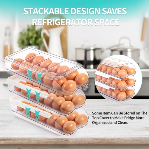 RoskDeewat Egg Holder for Fridge, Automatic Rolling Egg Container -2 Tier