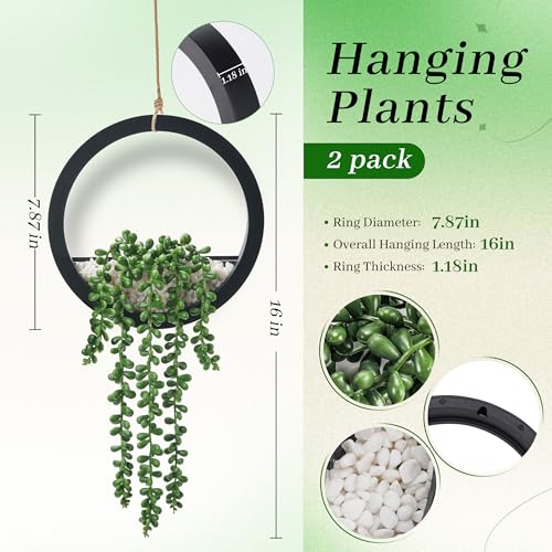 Der Rose 2 Pack 16" Artificial Hanging Plants in Black Pots for Wall Decor | Hanging succulents plants，faux string of pearls plants,great for bathroom bedroom living room boho wall decor，fresh all year