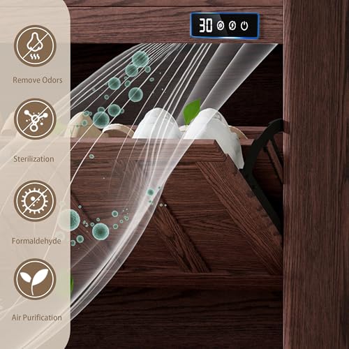ChooChoo Shoe Storage Cabinet with 2 Flip Drawers and Deodorizer | Shoe Organizer Storage for Entryway, Freestanding Hidden Slim Narrow Shoe Rack Cabinet, Walnut