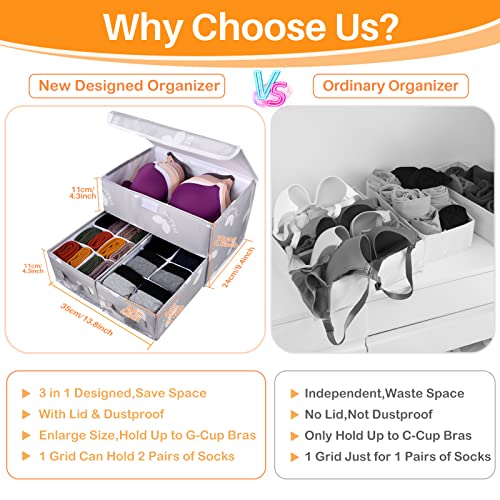 EASEVE Sock Underwear Drawer Divider - Closet Organizers and Dresser Organizer Wardrobe Clothes Box Storage Bins with Lid for Bra, Leggings, Shirt, Panty (1 Pack, Grey)