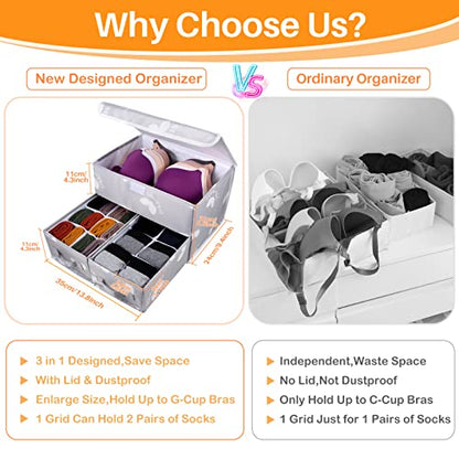 EASEVE Sock Underwear Drawer Divider - Closet Organizers and Dresser Organizer Wardrobe Clothes Box Storage Bins with Lid for Bra, Leggings, Shirt, Panty (1 Pack, Grey)