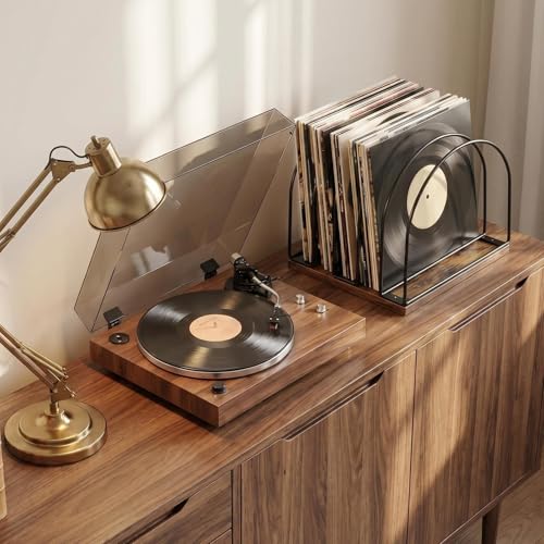 Wooden Vinyl Record Storage Holder | Record Stand Organizer for Vinyl Records & LPs, Magazine Holder, CD Storage, DVD Storage, CD Holder, Album Organizer Shelf