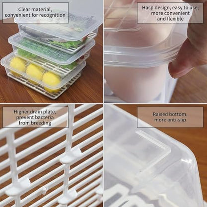 Food Storage Container, (3-Pack) Plastic Food Cont... (Clear | Polypropylene)