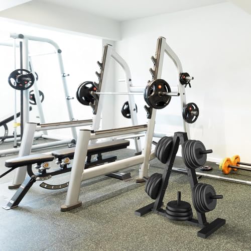 Weight Plate Rack, Weight Tree, Home Gym Storage Stand, Holds 300 lbs