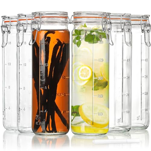Glass Jars with Airtight Lid, Glass Bottles for Vanilla Extract, 20 oz