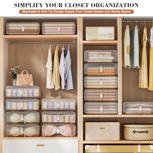 Underwear Drawer Organizer - Stackable Bra Organizer for Closet, 1 Cell Clear Acrylic Bra Storage Box, Closet Organizers and Storage for Lingerie, Undergarment, Baby Clothes, Scarf