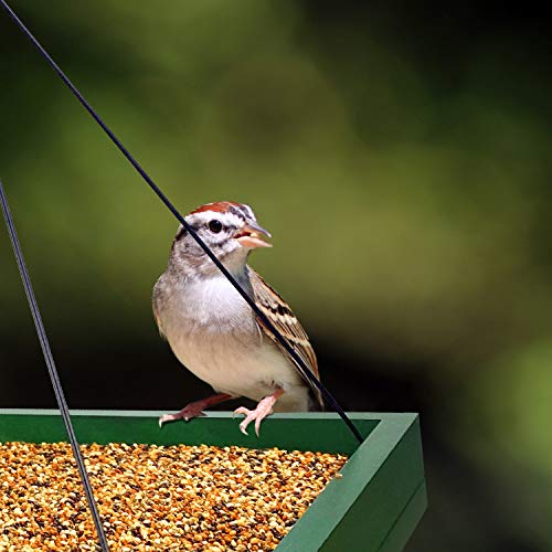 Bird Feeder Hanging Tray, Bird Feeders for Outdoors, Wooden Seed Tray Platform Mesh Seed Platform for Garden Yard Outside Decoration Attracting for Wild Birds (Green-1pk)