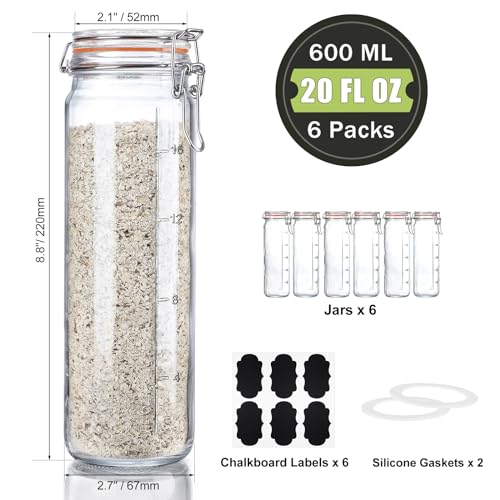 Glass Jars with Airtight Lid, Glass Bottles for Vanilla Extract, 20 oz