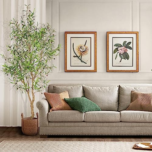 7ft Faux Olive Tree with Natural Olive Branches & Realistic Leaves | Fake Potted Olive Silk Tree with Sturdy Base - Realistic Olive Trees Artificial Indoor for Modern Home Entryway Office Decor