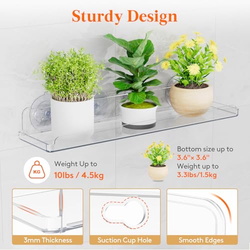 Lifewit Window Plant Shelves 14.6", 2 Pack Acrylic Suction Cup Floating Shelf for Bathroom Mirror, or Kitchen Wall, Clear No-Drill Window Sill Extender for Indoor Micro Greens 37 x 9 cm/14.6x3.6