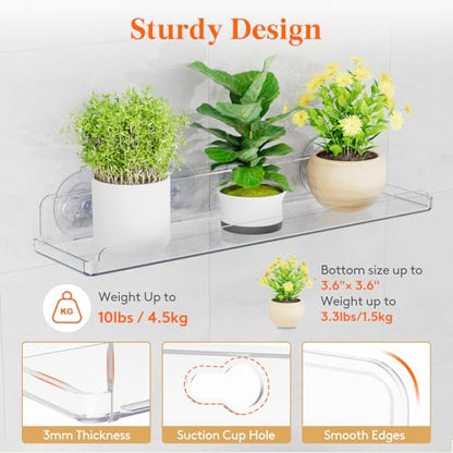 Lifewit Window Plant Shelves 14.6", 2 Pack Acrylic Suction Cup Floating Shelf for Bathroom Mirror, or Kitchen Wall, Clear No-Drill Window Sill Extender for Indoor Micro Greens 37 x 9 cm/14.6x3.6