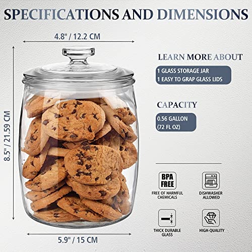 Wide Mouth Glass Jar with Airtight Lid, 1/2 Gal Clear Container