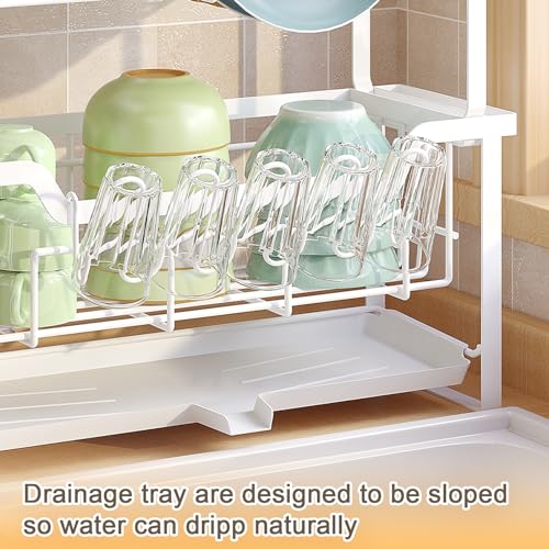 Dish Rack with Drainboard, Organizes Dishes and Bathroom Items for Narrow Spaces, Two-Story Drying Rack Fits 12 Plates 12 Bows 5 Glasses 4 Hooks and Some Cutlery, White