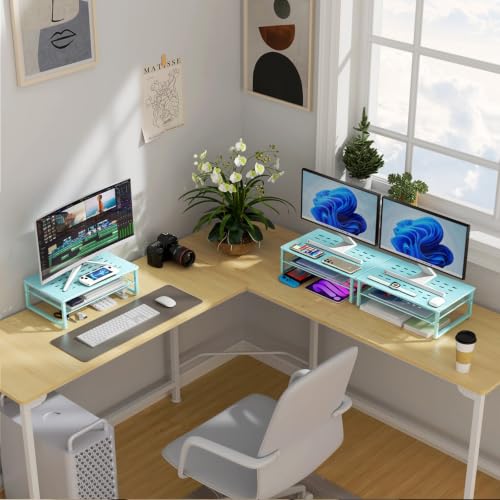 gianotter 2-Tier Metal Monitor Stand Riser | Desk Organizers and Accessories, Desk Organizer for Monitor, Office Desk Storage Organizer for Office Supplies (Blue)