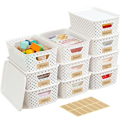 10 Pack Small Plastic Storage Bins with Lids, Stackable Plastic Storage Baskets for Organizing with Handles, Organizer Bins with Labels for Room, Craft, Containers for Pantry Organizers and Storage