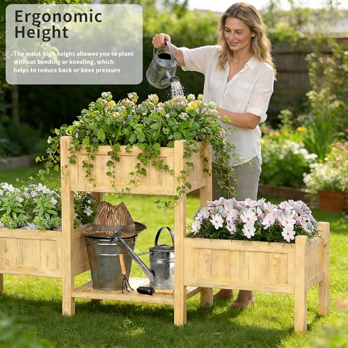 Extra Large Wooden Raised Garden Bed with Legs & Storage Shelf 3 Tier Outdoor Elevated Planter Box for Patios/Herbs/Flowers/Vegetables, Easy Assembly, Natural