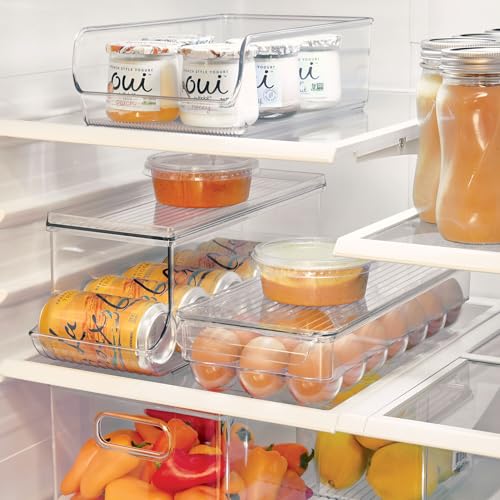 iDesign Clear Plastic Egg Holder for Fridge with Lid, 21 Egg