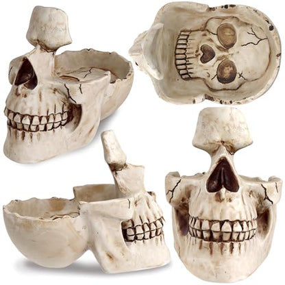 READAEER Skull Glasses Stand Holder, Creative Eyeglasses Holder, Sunglasses Spectacle Display Rack, Key Holder Resin Sculptures for Entryway, Home, Office, Desk, Nightstand (White)