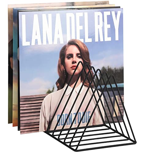Vinyl Record Holder Storage, 9 Slot Metal Magazine... (Black | Iron)