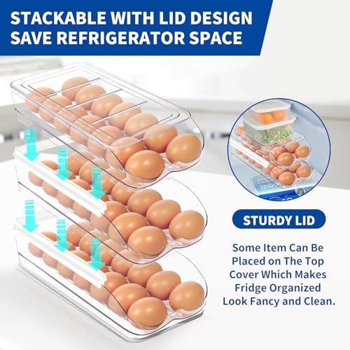 Egg Holder for Fridge, Automatic Rolling Egg Organ... (Clear | Plastic)