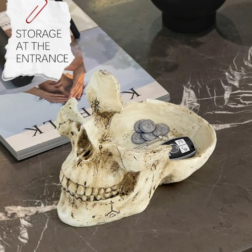 Skull Glasses Stand Holder, Creative Eyeglasses Ho... (White | Resin)
