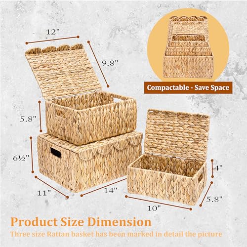 LUSYDECO Set of 3 Scalloped Edge Wicker Basket with Lid, Rectangle Wicker Storage Basket with Built-in Handles, Multipurpose Organizer Rattan Display Boxes for Shelf, Nursery Room