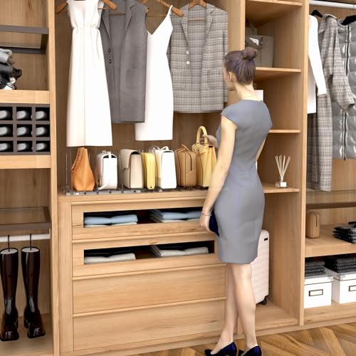 Adjustable Shelf Divider for Closet, Clear Purse O... (Clear | Acrylic)