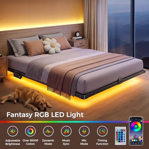 Floating Bed Frame Queen Size, 10" Comfort Height, 4-Side Underbed RGB LED Lights & Charging Station, Metal Platform Bed No Box Spring Needed, Noise-Free, Sturdy 1000lbs Support for Bedroom