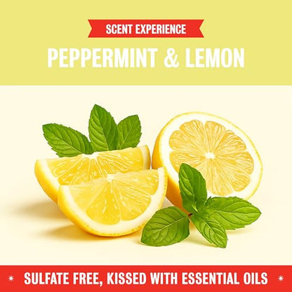 Rebel Green Organic Laundry Detergent, Natural Laundry Soap | Liquid Laundry Detergent with Dispenser Cup, Fresh Peppermint & Lemon Scent, 68 Load Bottles, 2 Pack