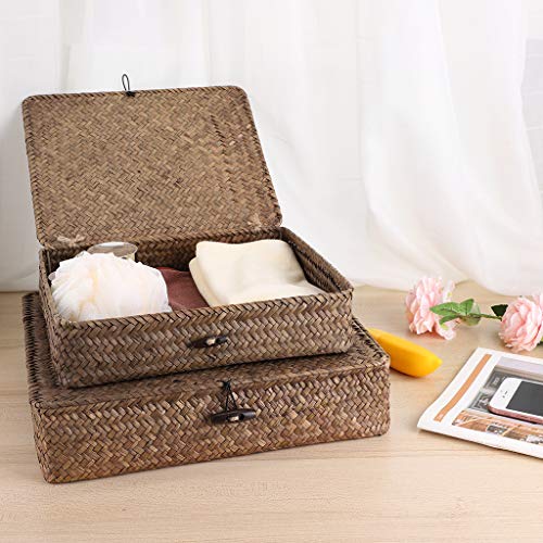 Hipiwe Set of 2 Flat Woven Wicker Storage Bins with Lid Seagrass Basket | Natural Decorative Baskets Multipurpose Home Boxes for Shelf Organizer Home Decor (Coffee)